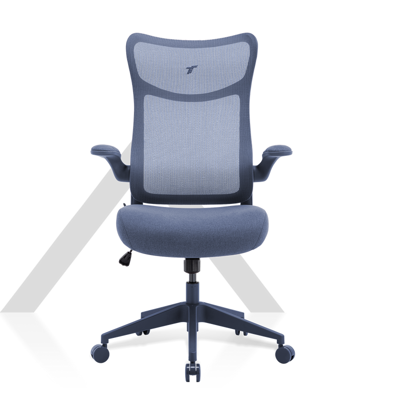 360° view of TT AIRFLEX V2 Ergochair - angle 1
