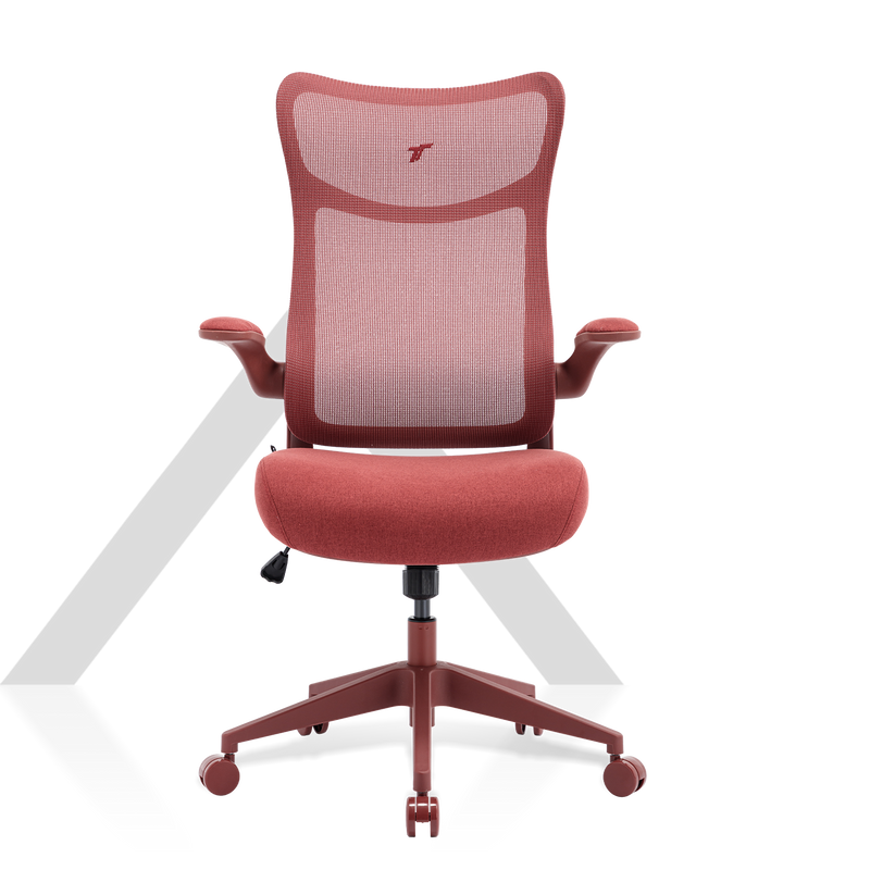 360° view of TT AIRFLEX V2 Ergochair - angle 1