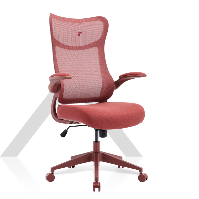360° view of TT AIRFLEX V2 Ergochair - angle 2
