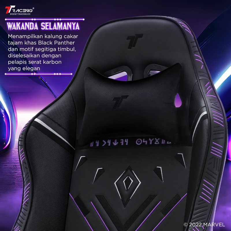 files/panther-cp-2.png