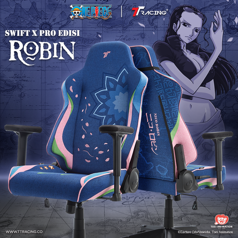 files/robin-cp-1.png