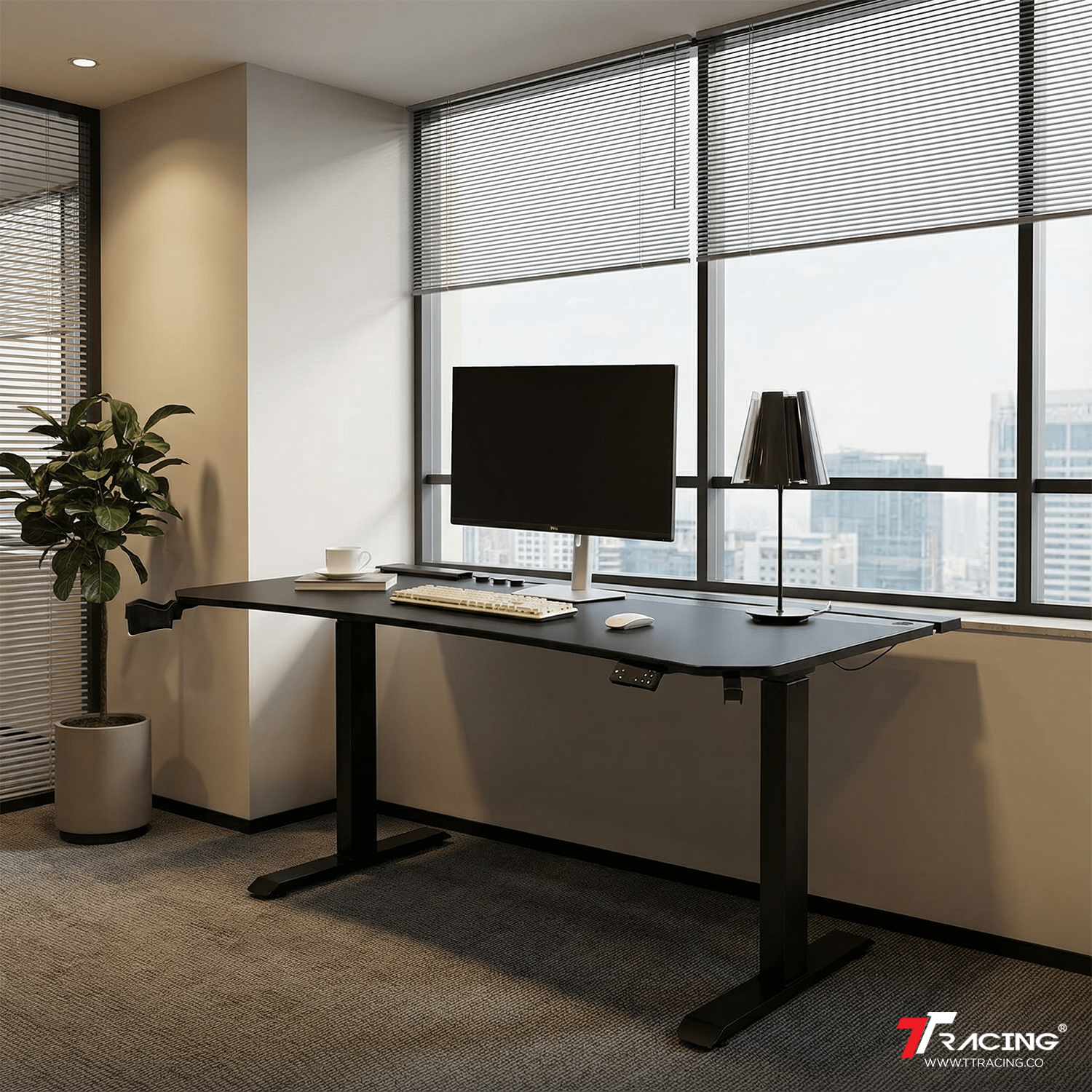 {{ product.title }} cp